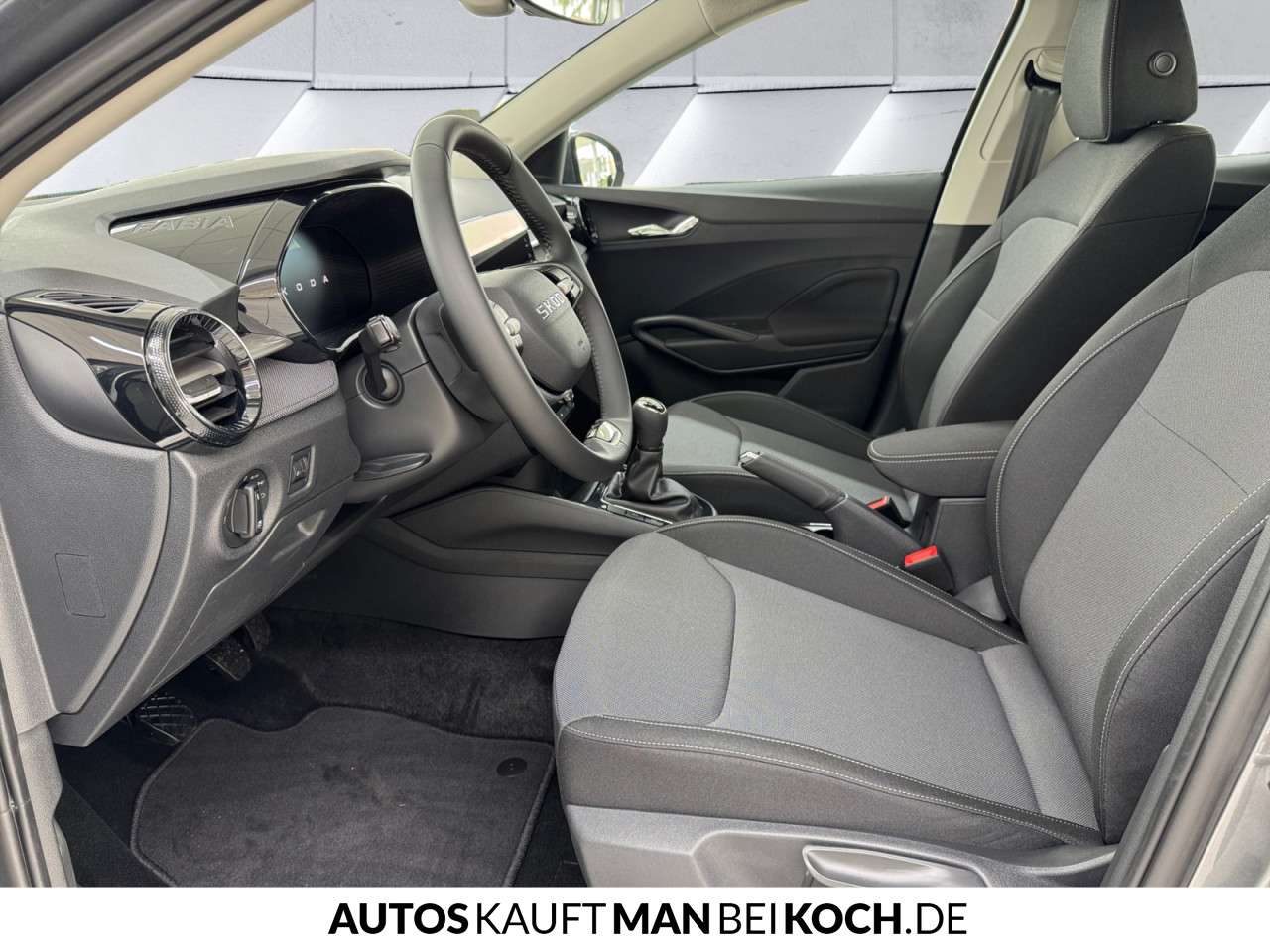Fahrzeugbild eines Skoda Fabia
