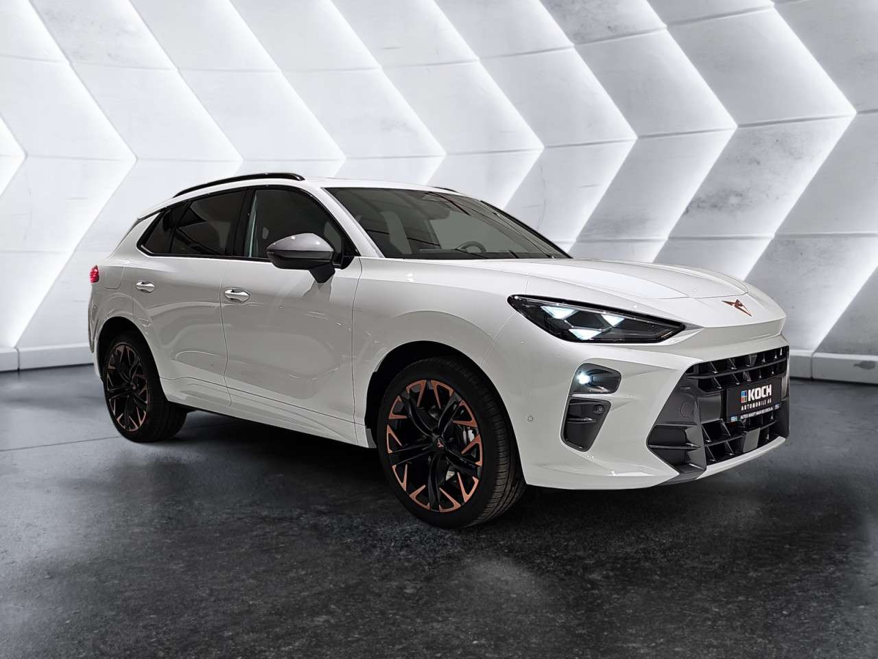 Fahrzeugbild eines CUPRA Terramar