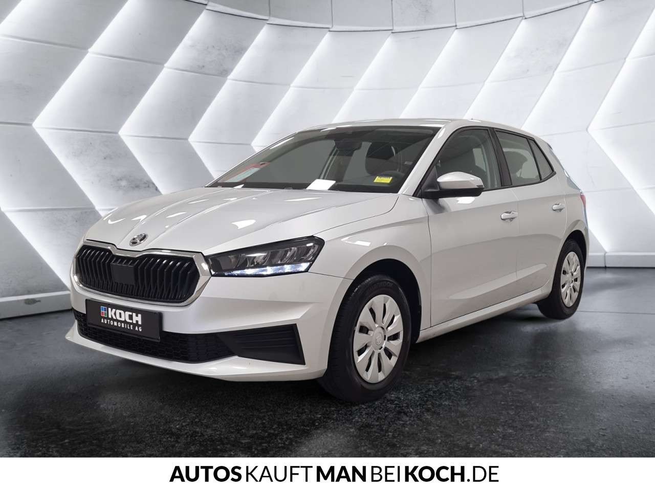 Fahrzeugbild eines Skoda Fabia