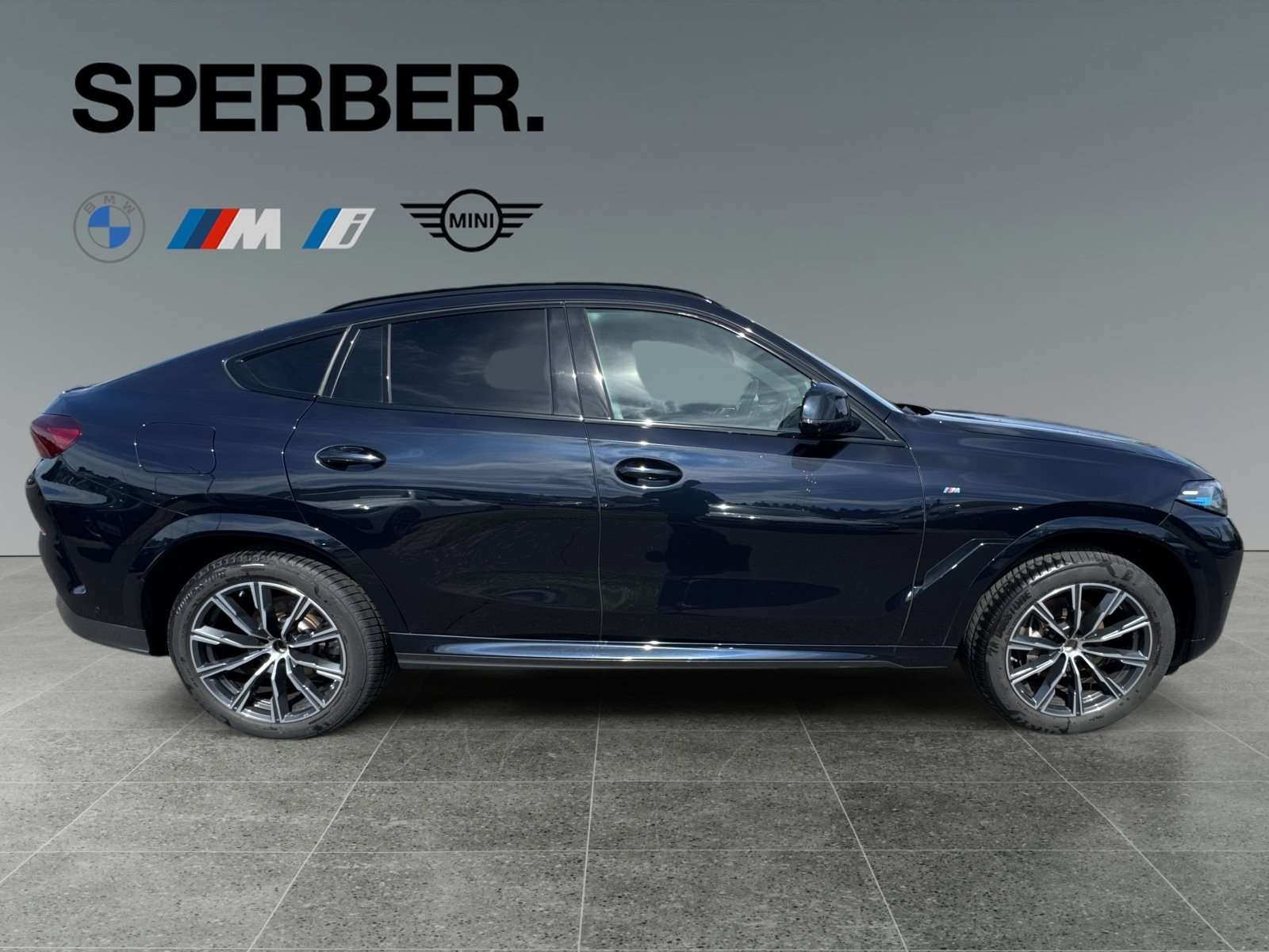 Fahrzeugbild eines BMW X6