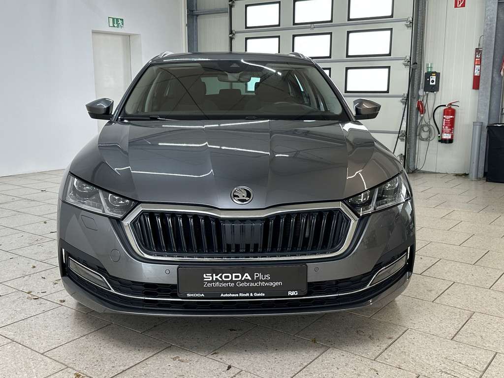 Fahrzeugbild eines Skoda Octavia