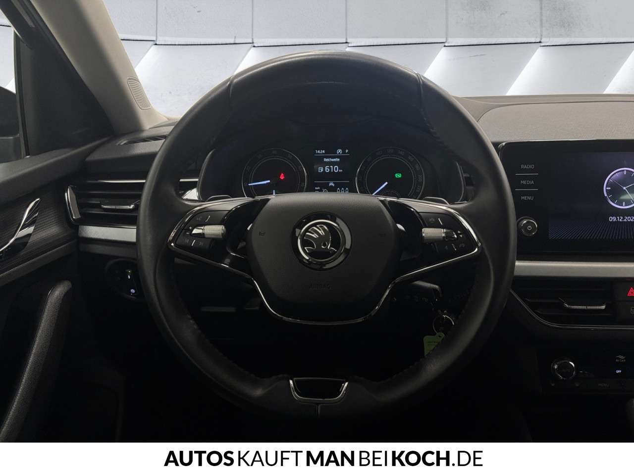 Fahrzeugbild eines Skoda Scala