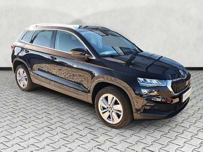 Bild Skoda Karoq