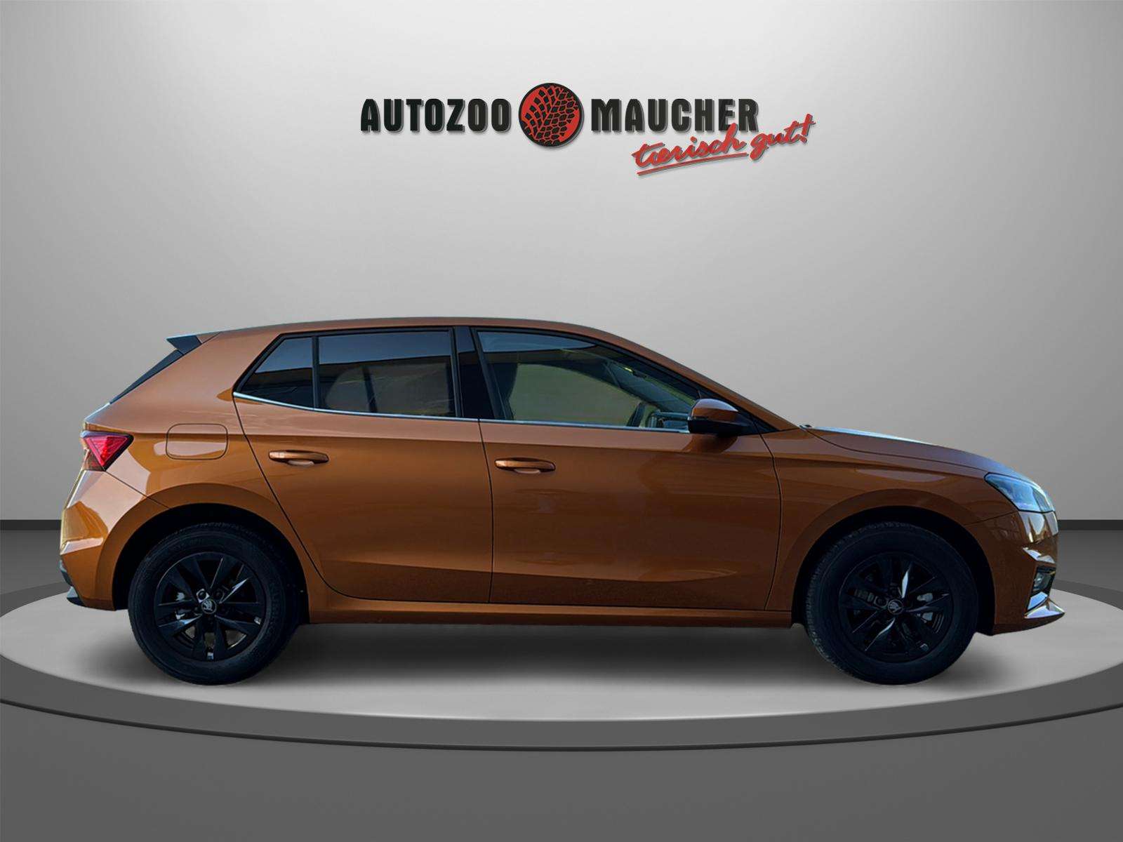 Fahrzeugbild eines Skoda Fabia