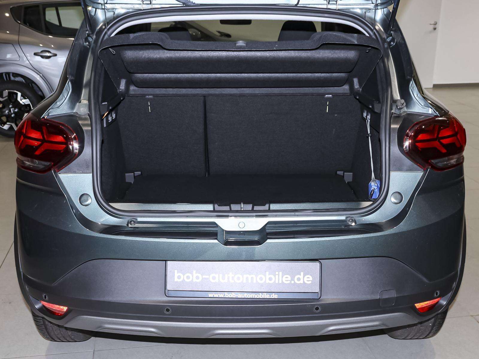 Fahrzeugbild eines Dacia Sandero