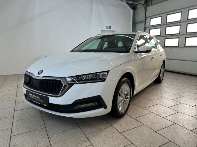 Fahrzeugbild eines Skoda Octavia