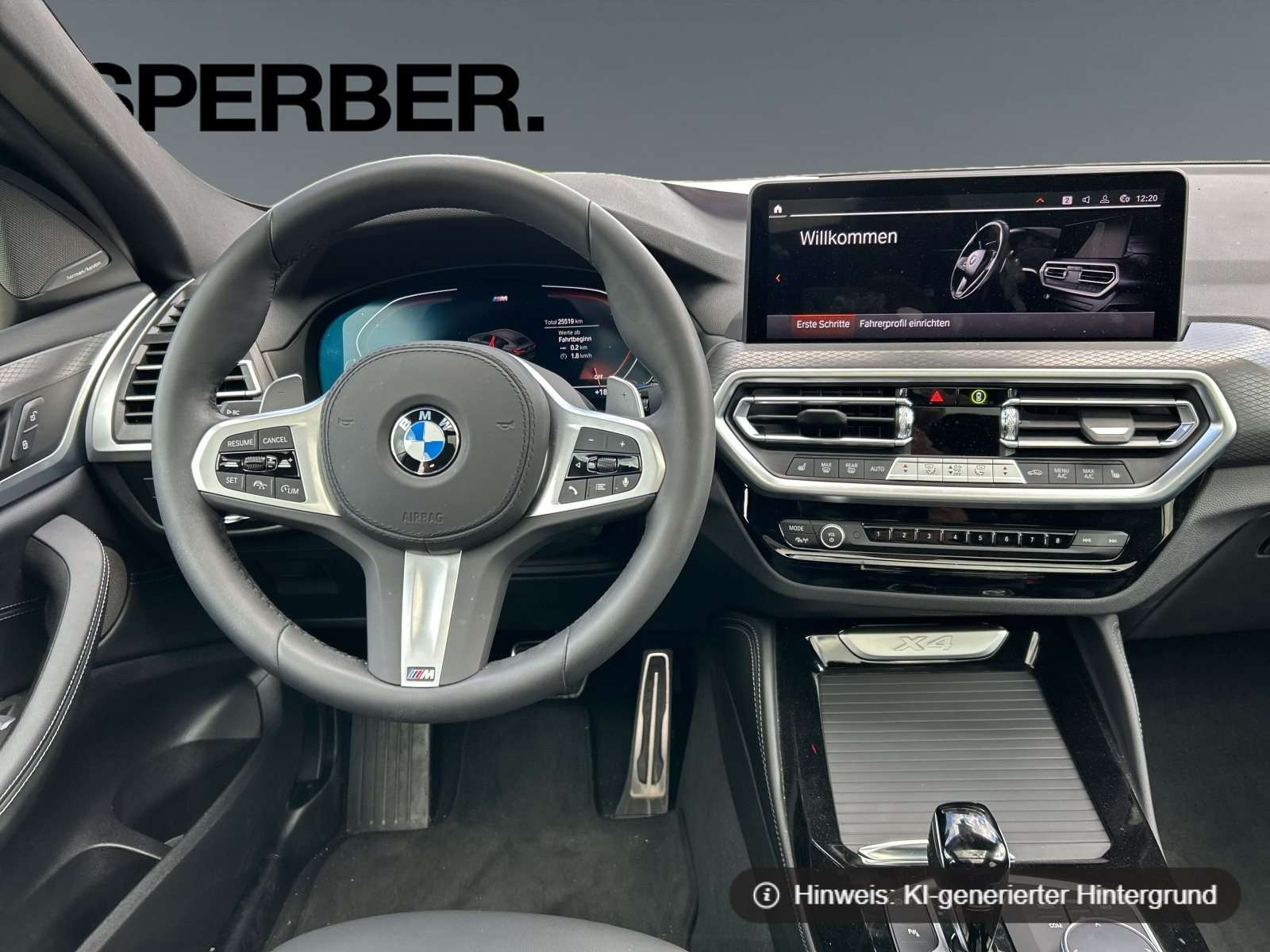 Fahrzeugbild eines BMW X4