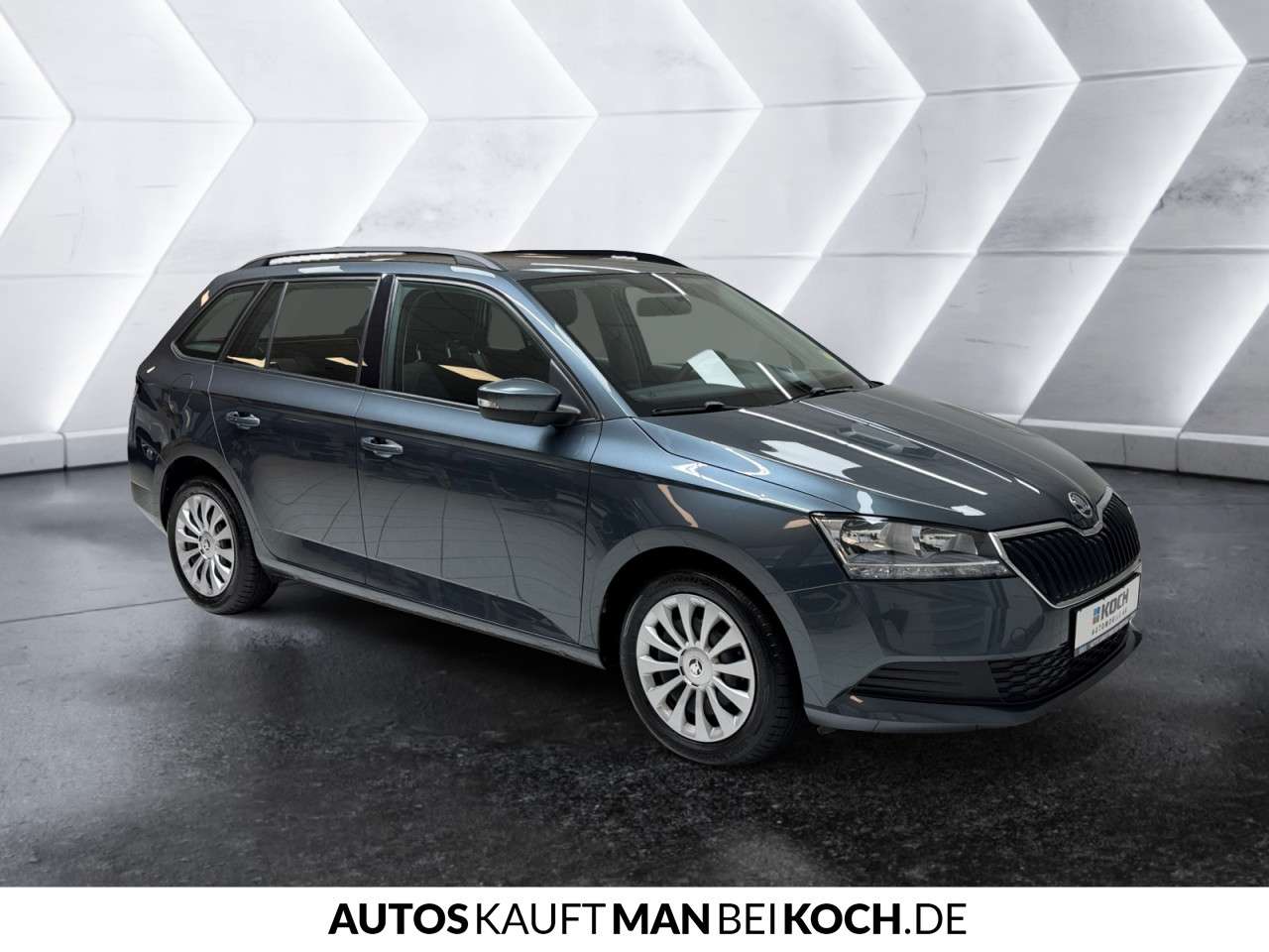 Fahrzeugbild eines Skoda Fabia