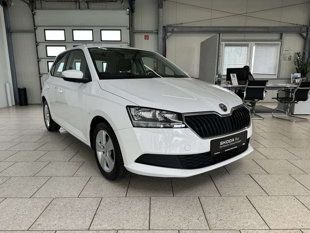 Fahrzeugbild eines Skoda Fabia