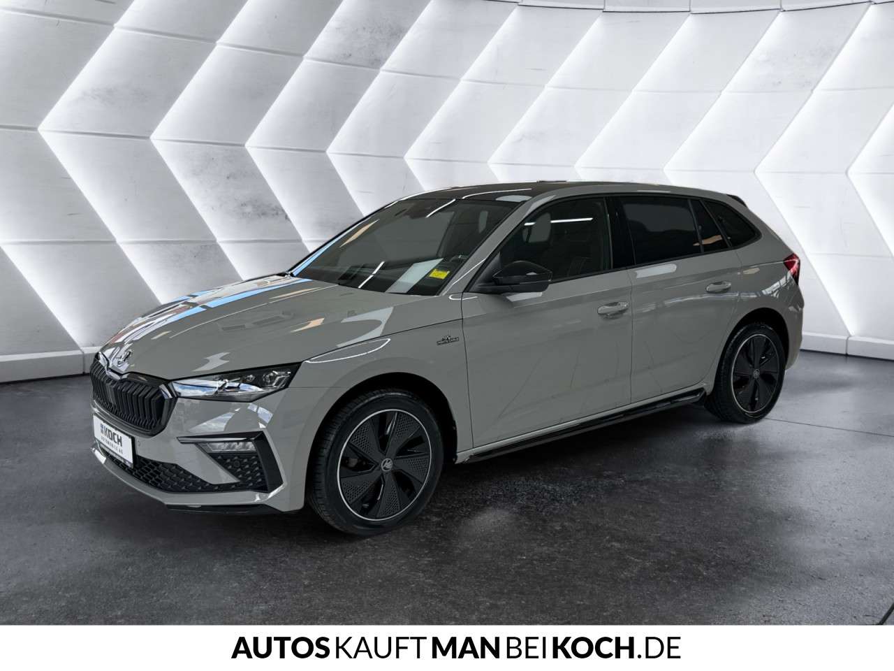 Fahrzeugbild eines Skoda Scala