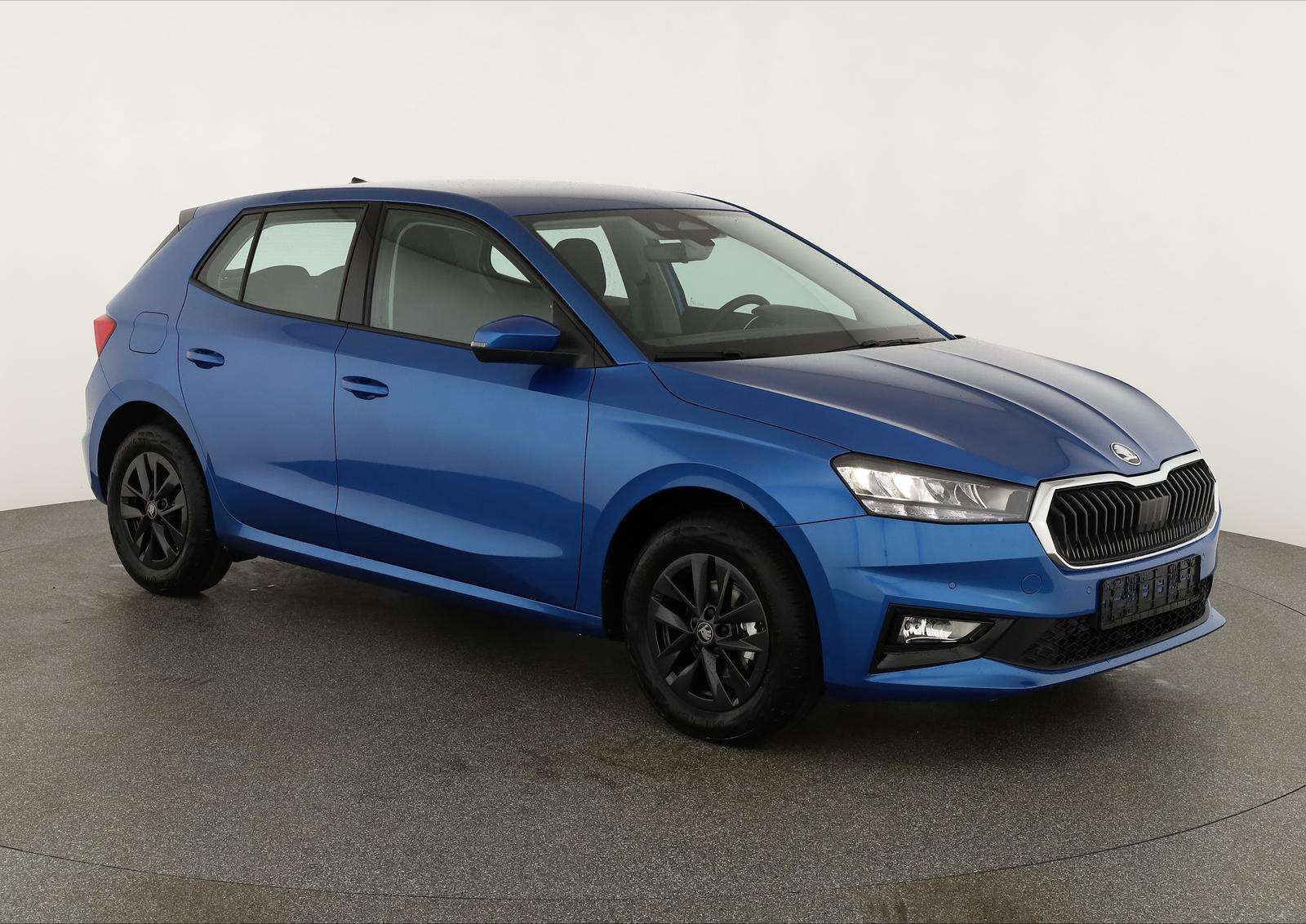 Fahrzeugbild eines Skoda Fabia