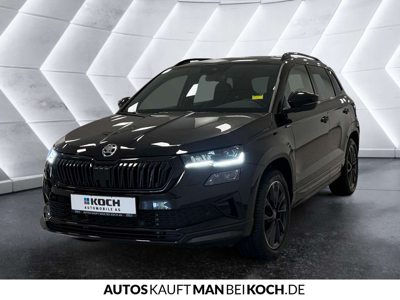Fahrzeugbild eines Skoda Karoq