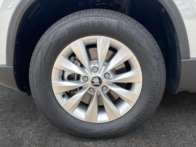 Fahrzeugbild eines Skoda Karoq