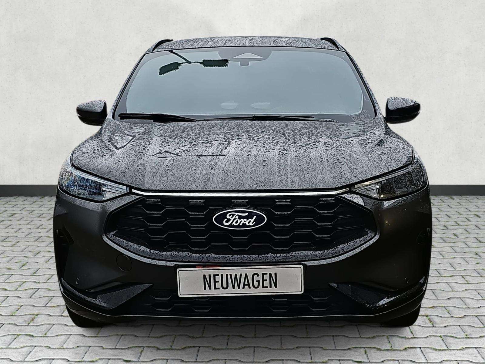 Fahrzeugbild eines Ford Kuga