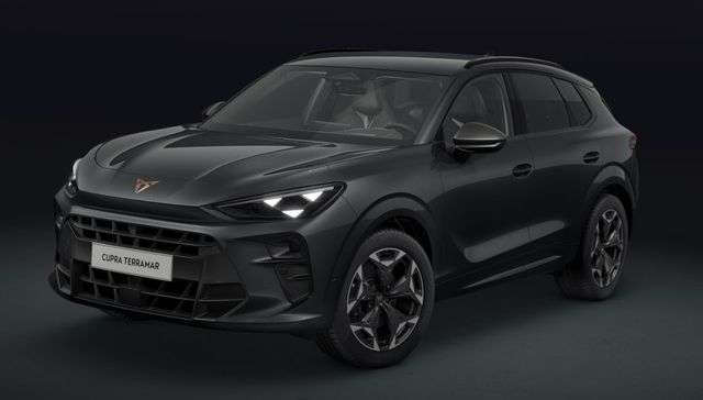 Fahrzeugbild eines CUPRA Terramar
