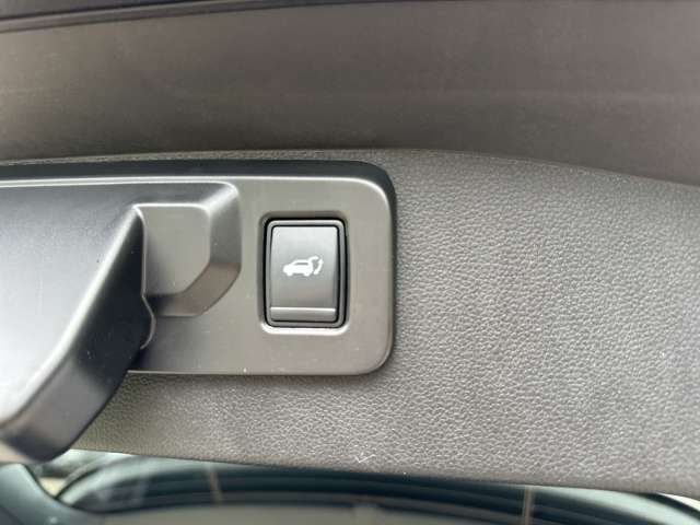 Fahrzeugbild eines Renault Austral