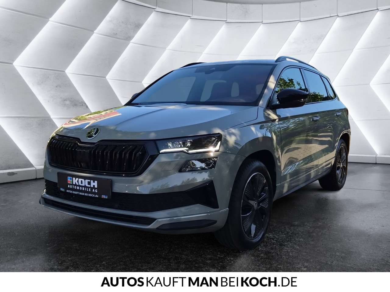 Fahrzeugbild eines Skoda Karoq