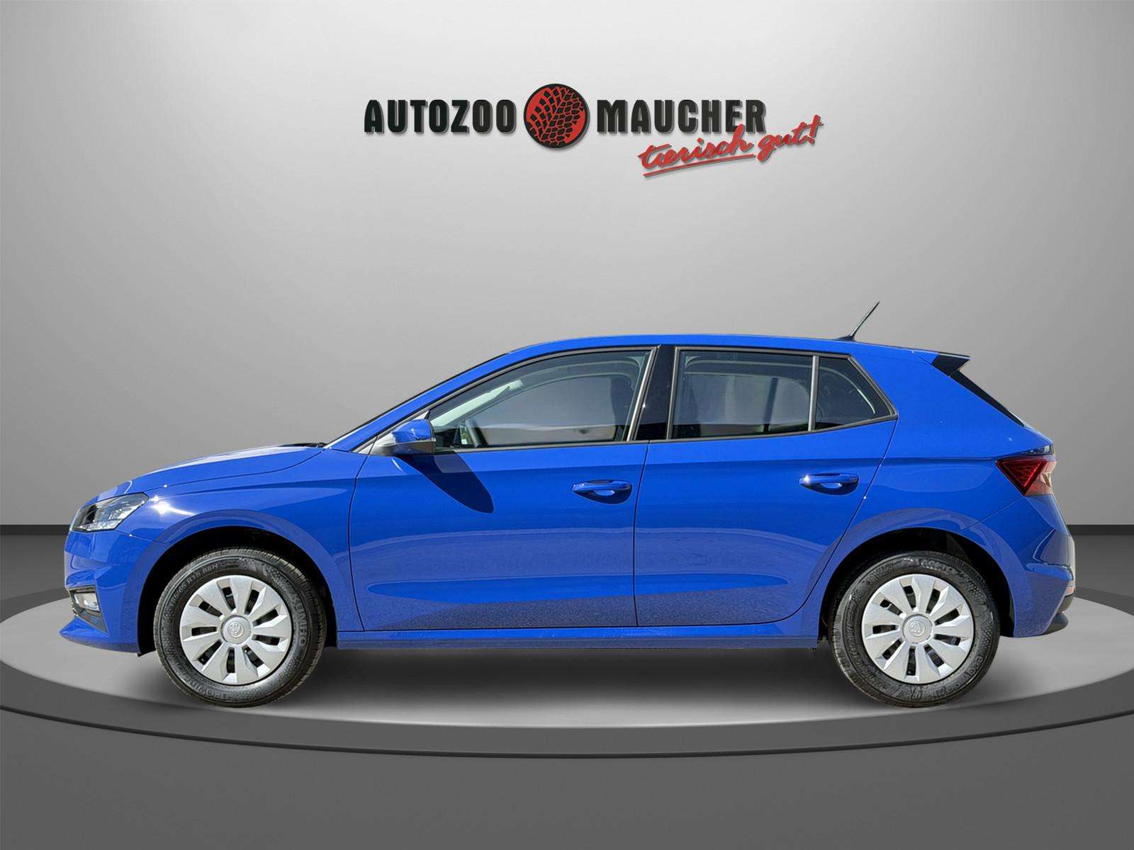 Fahrzeugbild eines Skoda Fabia