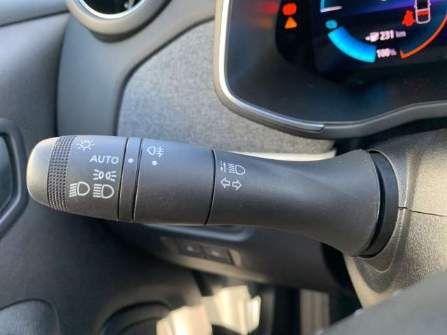 Fahrzeugbild eines Renault ZOE