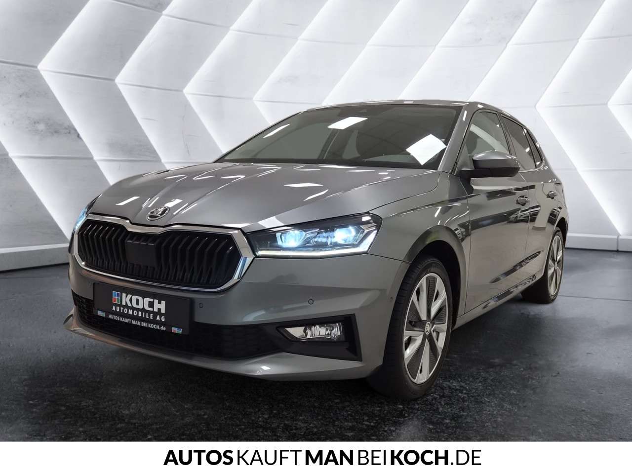 Fahrzeugbild eines Skoda Fabia