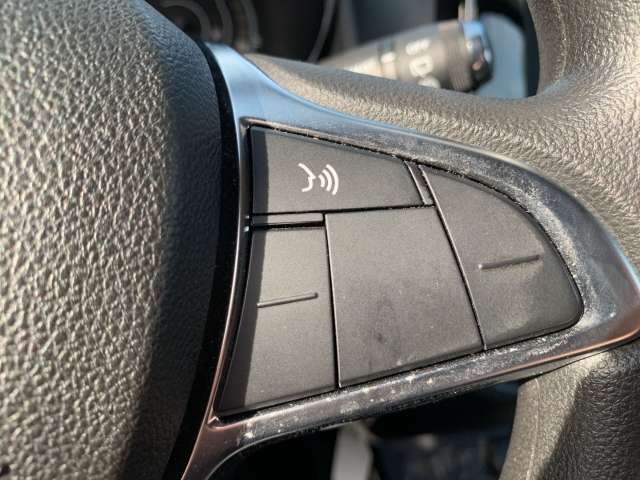 Fahrzeugbild eines Dacia Spring