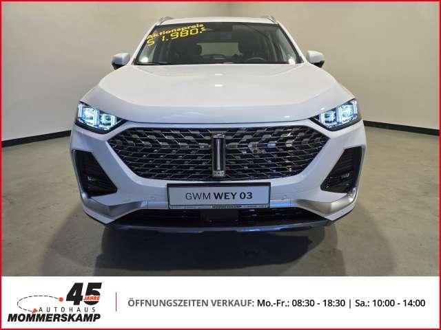 Fahrzeugbild eines GWM Wey 03