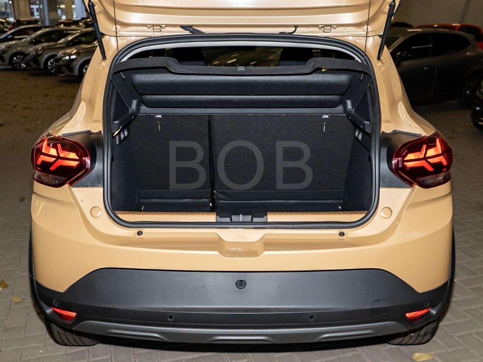 Fahrzeugbild eines Dacia Sandero