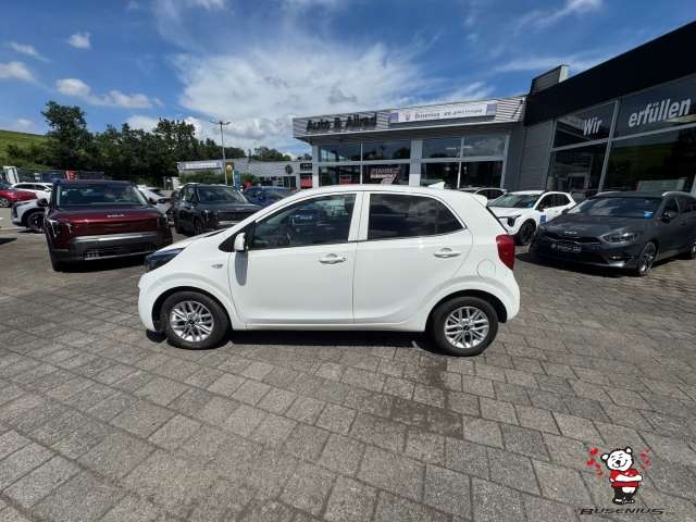 Fahrzeugbild eines Kia Picanto