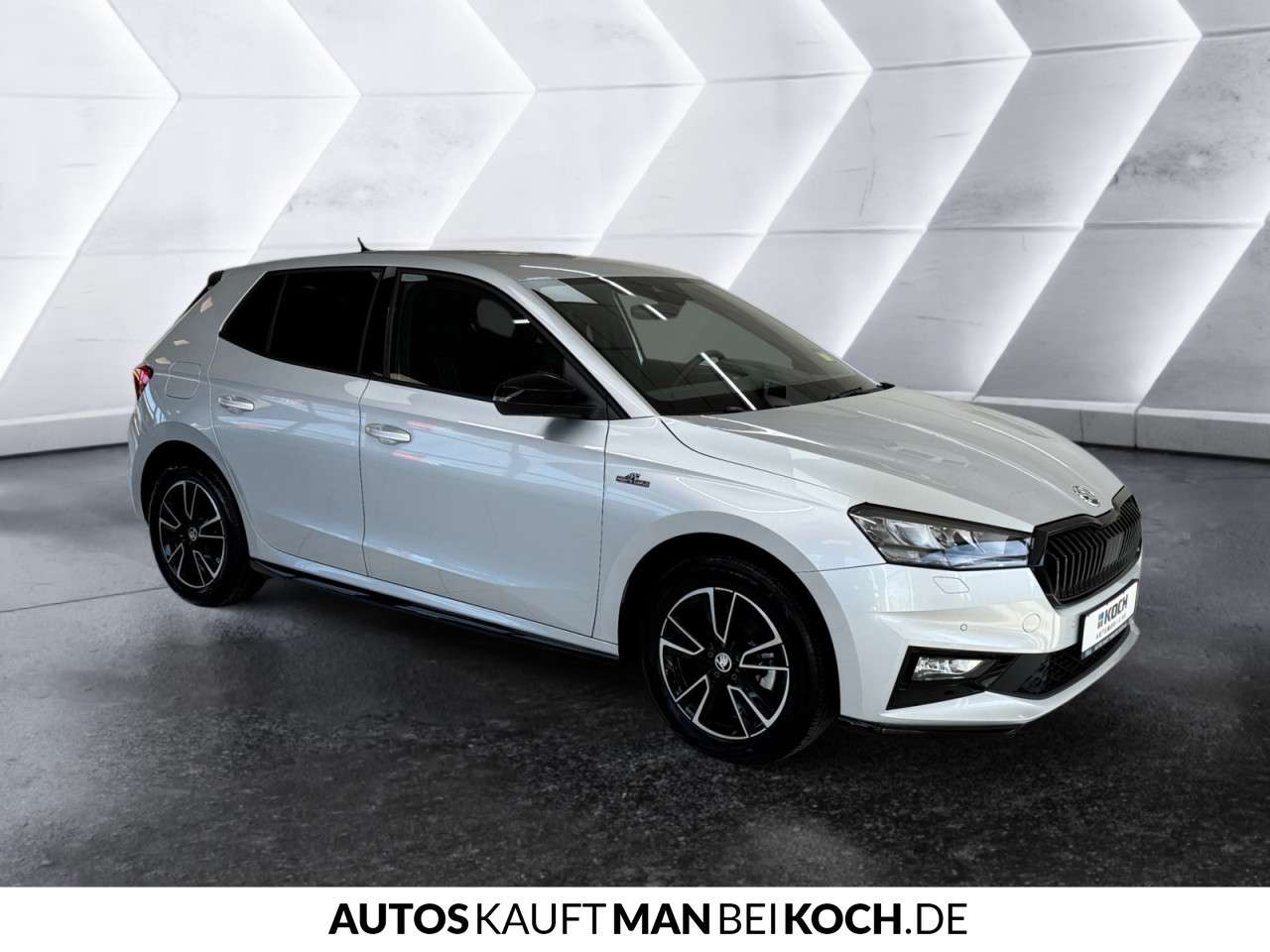 Fahrzeugbild eines Skoda Fabia