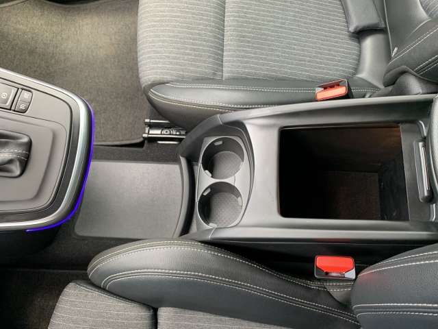 Fahrzeugbild eines Renault Scénic