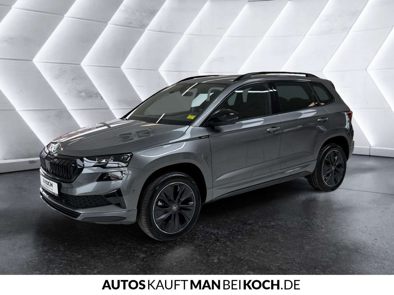 Fahrzeugbild eines Skoda Karoq