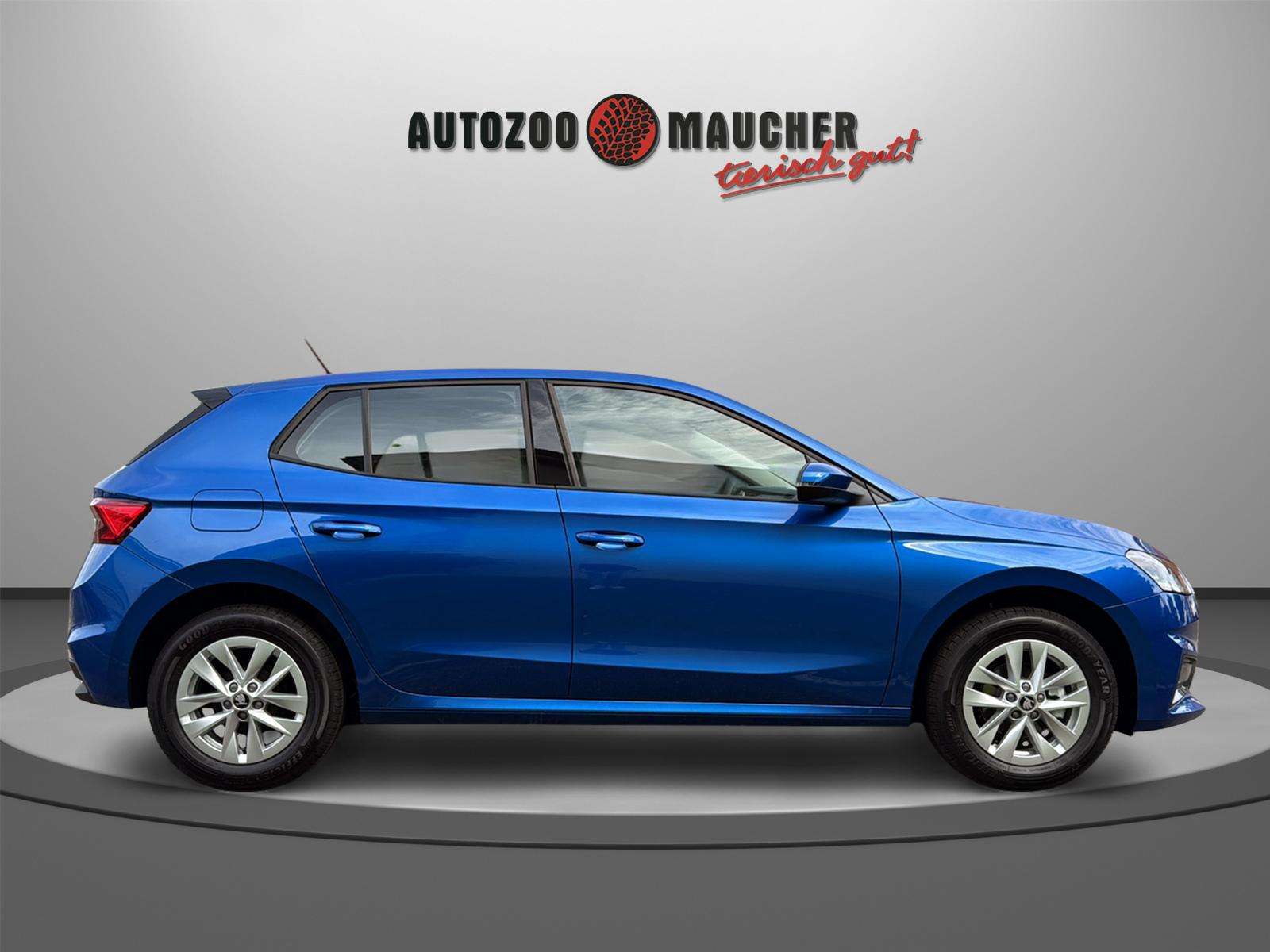 Fahrzeugbild eines Skoda Fabia