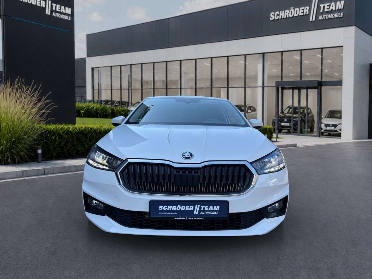 Fahrzeugbild eines Skoda Fabia