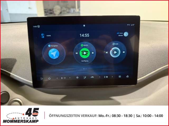 Fahrzeugbild eines BYD DOLPHIN