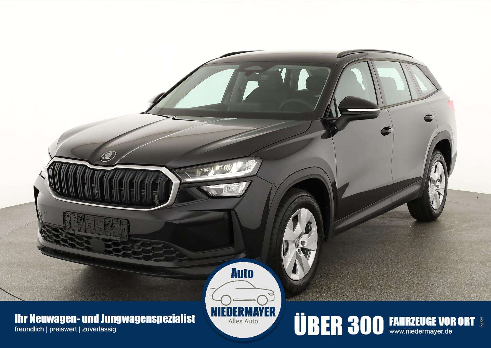 Fahrzeugbild eines Skoda Kodiaq