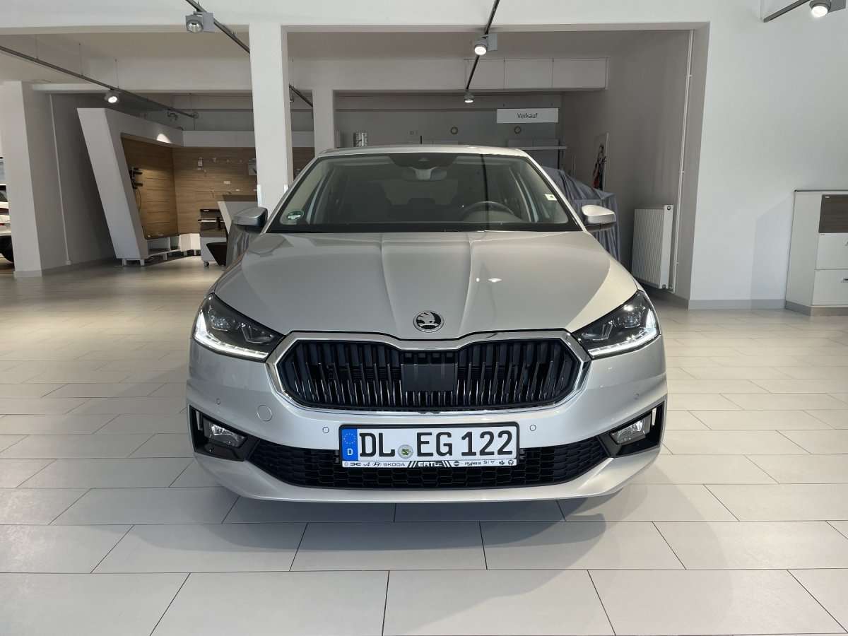 Fahrzeugbild eines Skoda Fabia