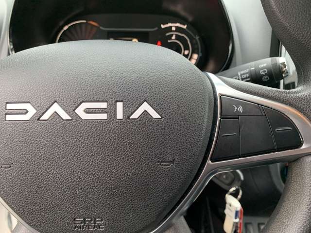 Fahrzeugbild eines Dacia Spring