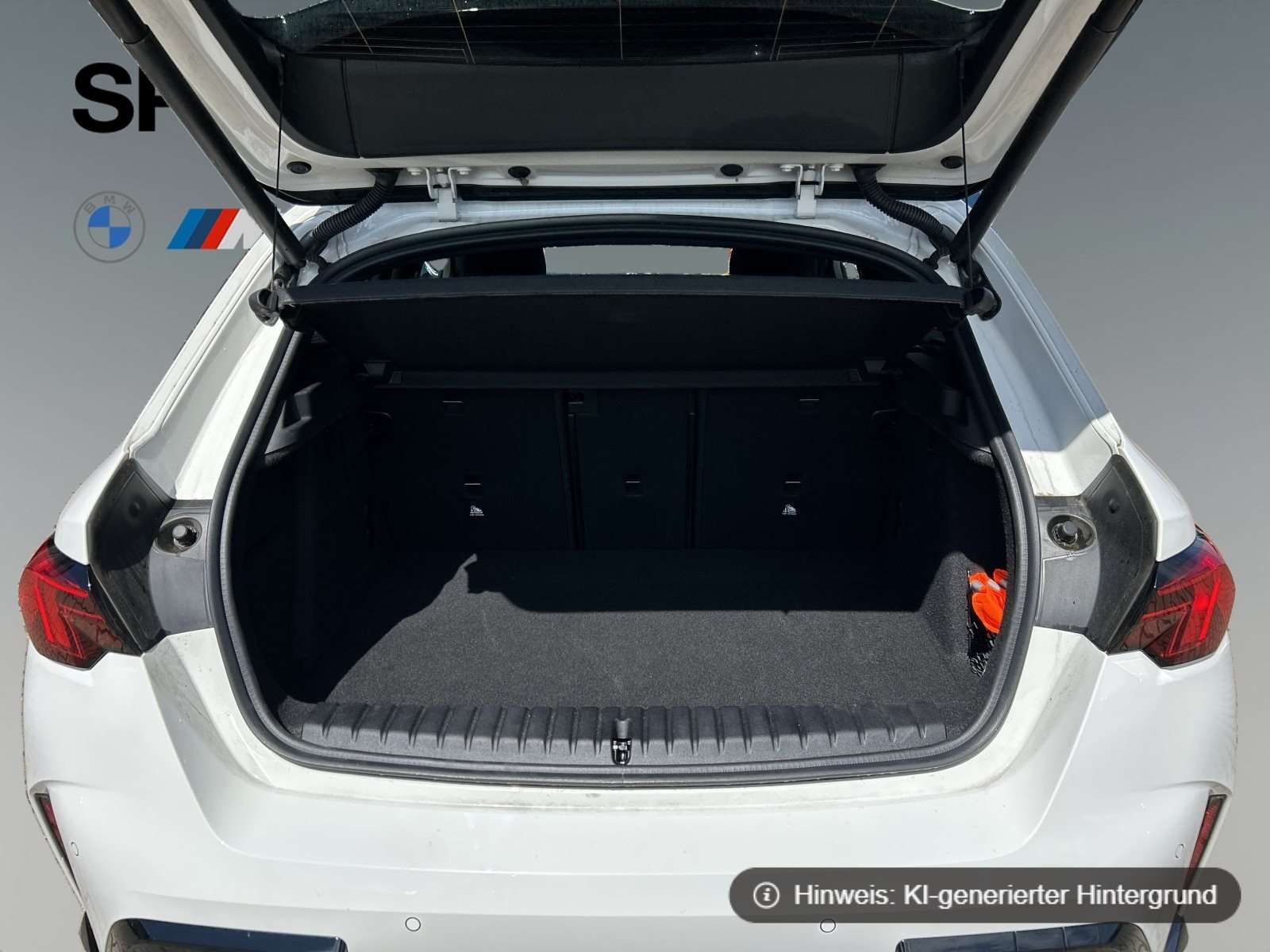 Fahrzeugbild eines BMW 1er-Reihe