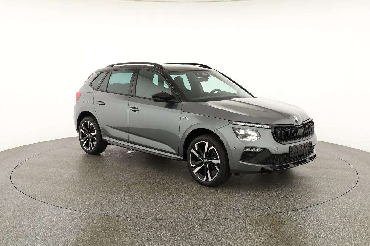 Fahrzeugbild eines Skoda Kamiq
