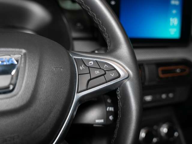 Fahrzeugbild eines Dacia Sandero