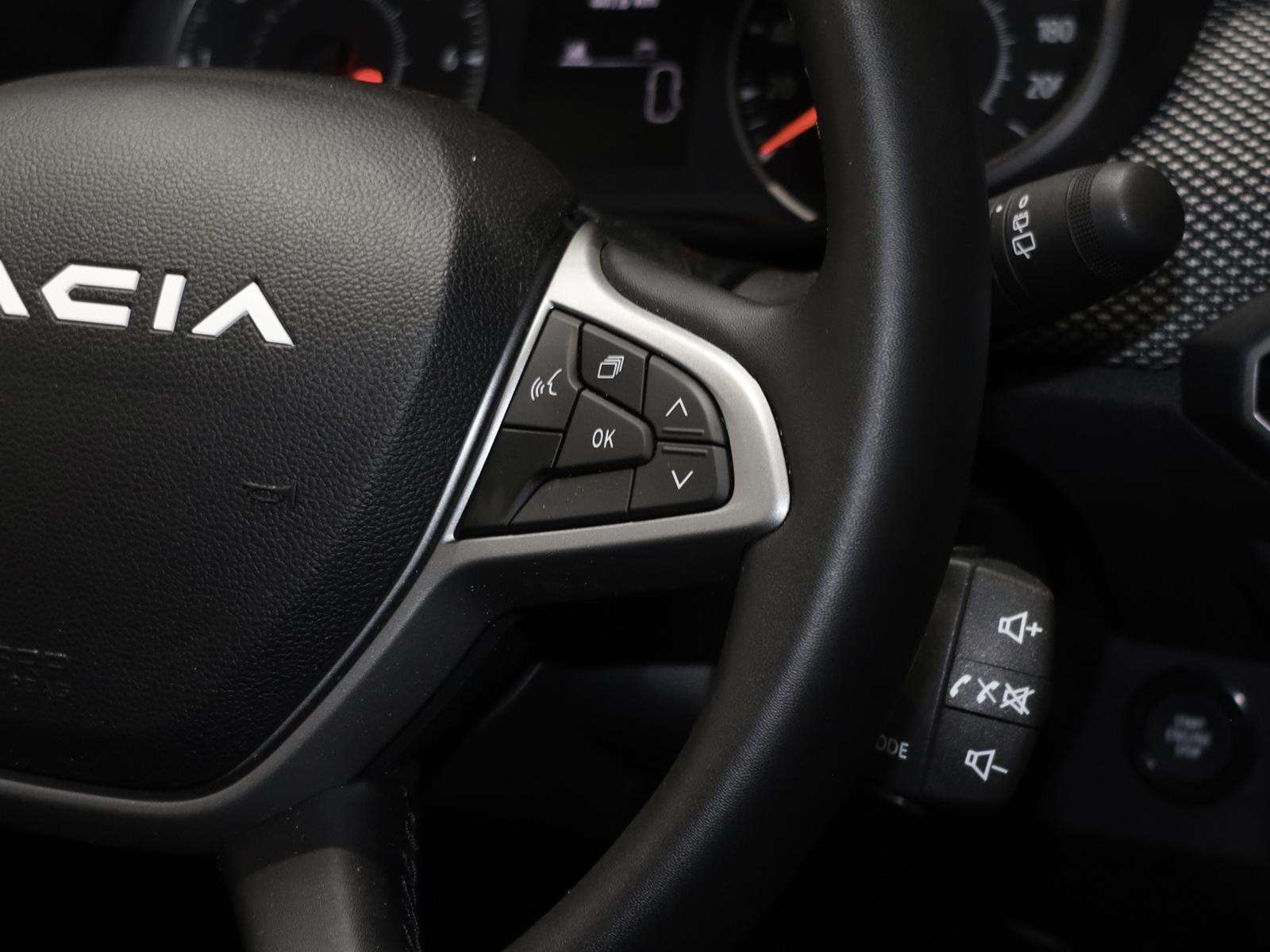 Fahrzeugbild eines Dacia Sandero
