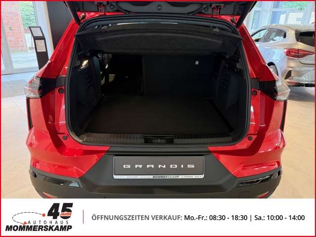 Fahrzeugbild eines Mitsubishi Grandis