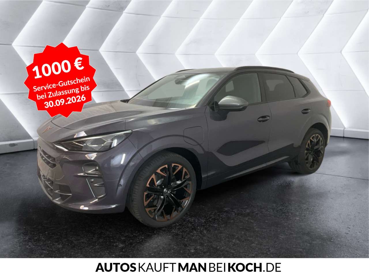 Fahrzeugbild eines CUPRA Terramar