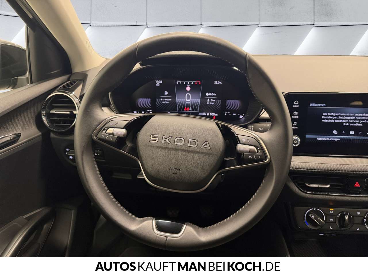 Fahrzeugbild eines Skoda Fabia