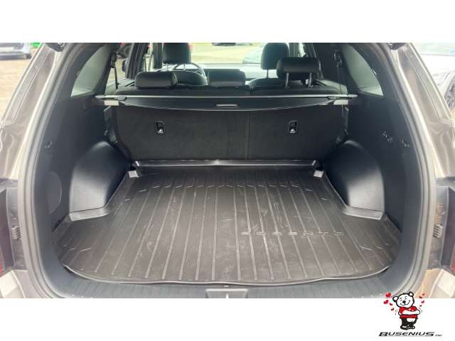Fahrzeugbild eines Kia Sorento