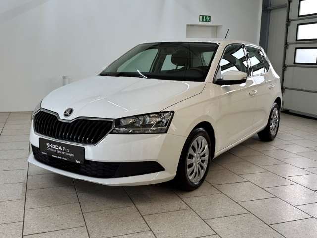 Fahrzeugbild eines Skoda Fabia