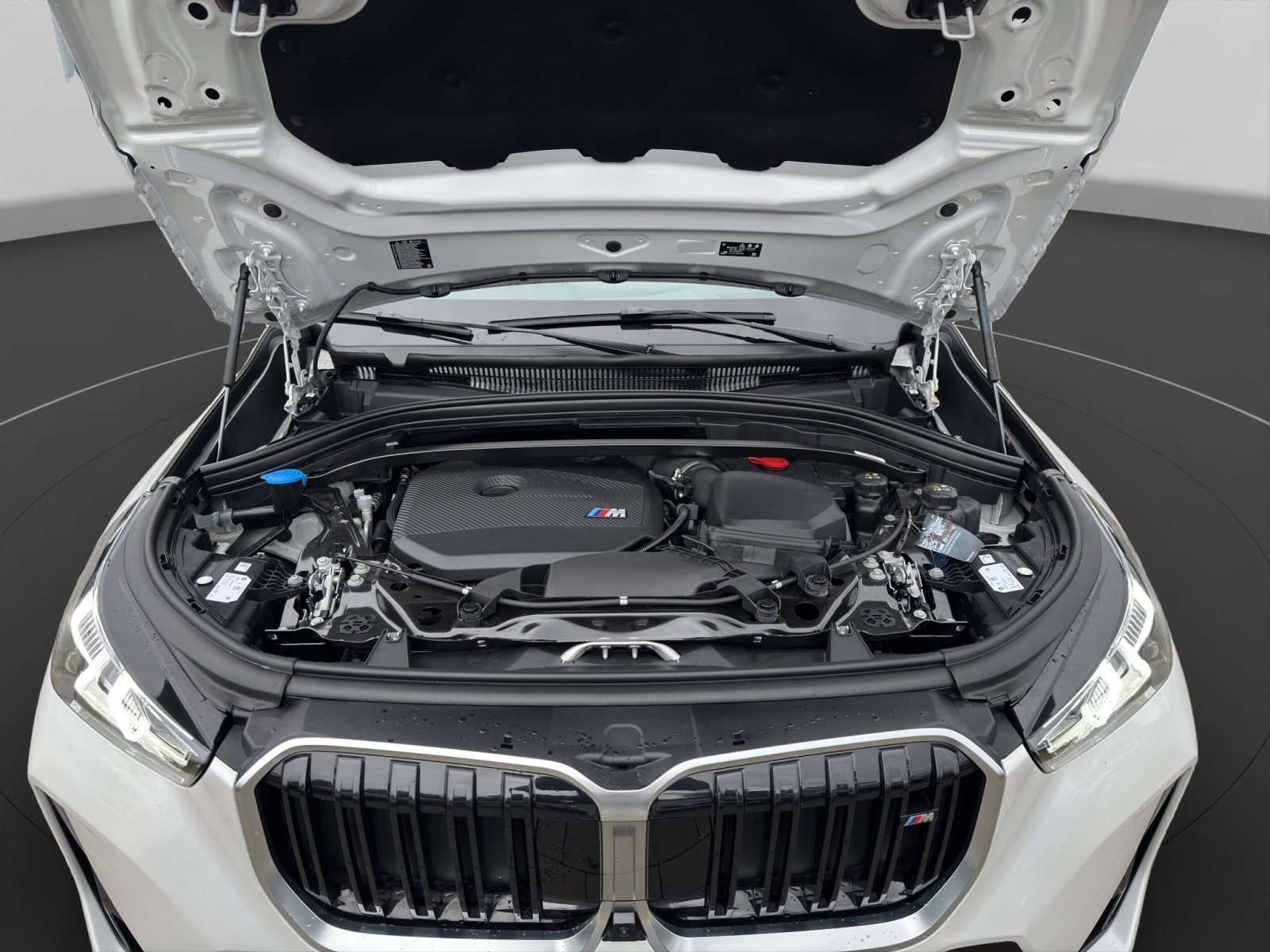 Fahrzeugbild eines BMW X1