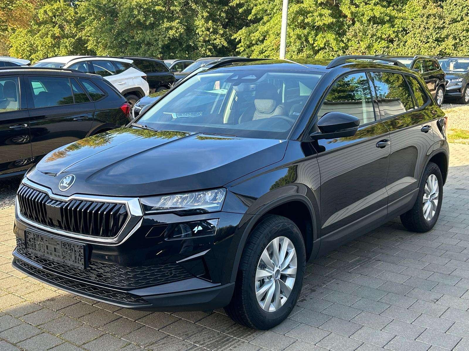 Fahrzeugbild eines Skoda Karoq