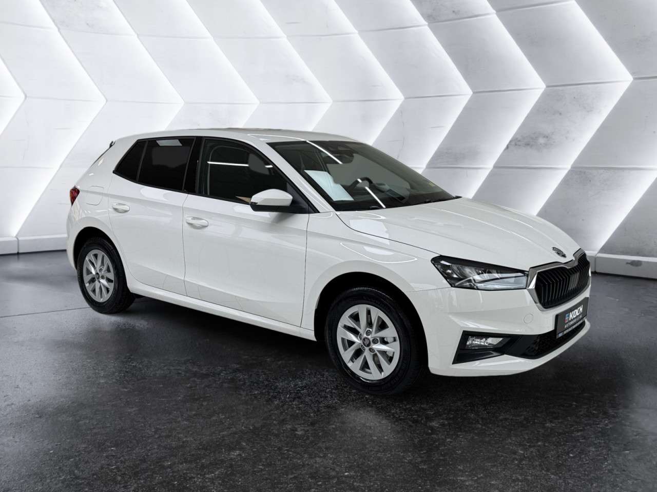 Fahrzeugbild eines Skoda Fabia