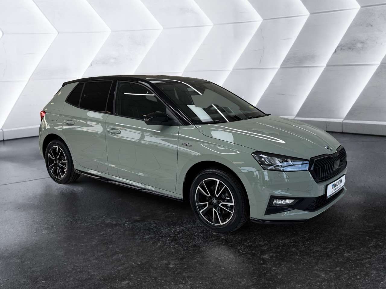 Fahrzeugbild eines Skoda Fabia